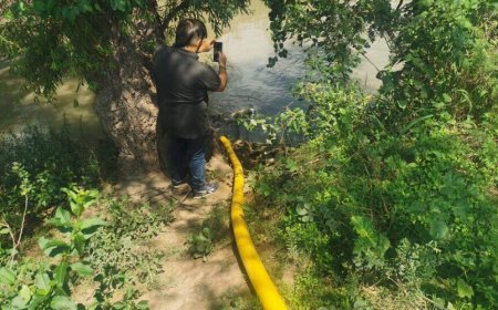 Confirman que las verduras regadas con agua del rió arenales tienen salmonella
