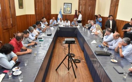 Los ministros Camacho y Dib Ashur informaron a senadores la situación de la provincia