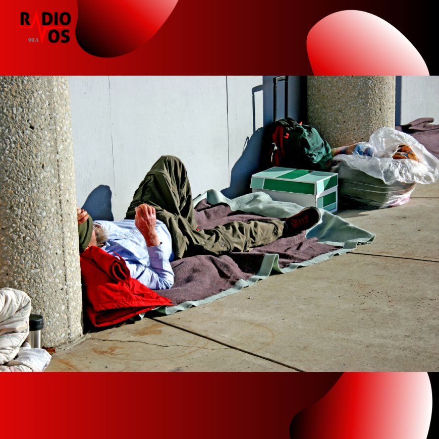 #INDIGNACIÓN ¿Cerraron el refugio municipal?