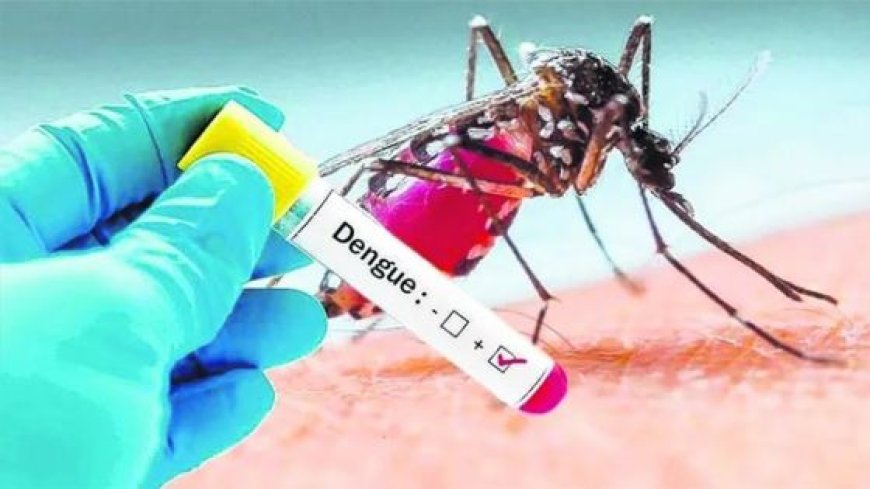 El compromiso de la sociedad es fundamental en la prevención del dengue