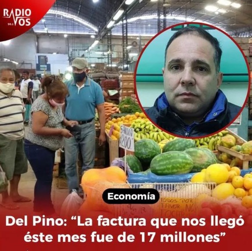 BOLETAS CATASTRÔFICAS - El mercado Cofrutos deberá pagar 17 millones de luz