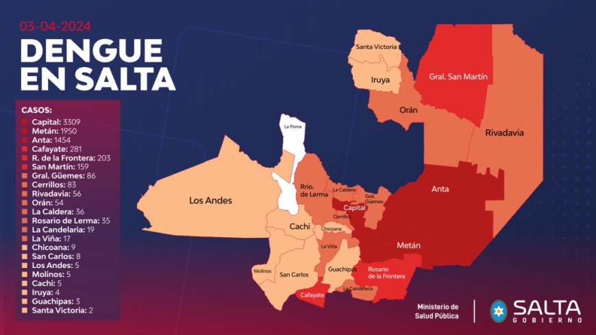 El pico de dengue se espera para dentro de 15 o 30 días en Salta