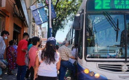 IMPORTANTE  - Servicio de colectivos para las fiestas de Navidad y Año Nuevo