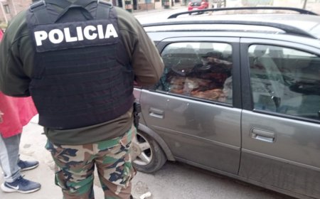 Policía Rural y Ambiental de Capital decomisó 100 kilos de carne no apta para el consumo humano