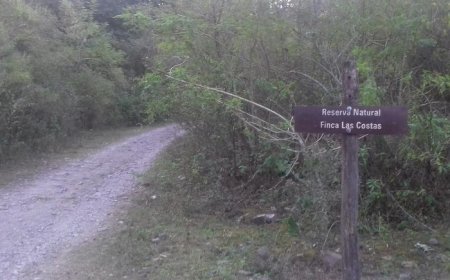 Un segundo detenido e imputado por la venta de terrenos de la Reserva Natural de Finca Las Costas