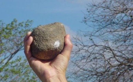 PIEDRA #1 - Recibió una pedrada y le robaron el celular