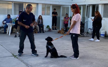 Este jueves 15 habrá una charla sobre perros potencialmente peligrosos