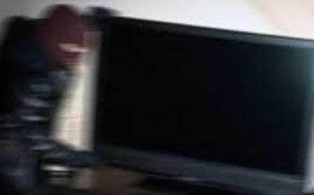 Sorprendido con un televisor sustraído en la zona centro