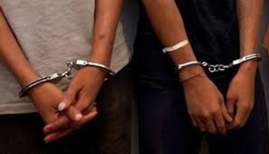 Dos hermanos detenidos por robo y resistencia a la autoridad