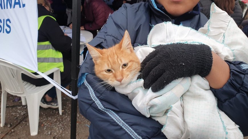Cronograma de vacunación antirrábica de esta semana
