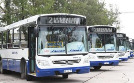 Se presentarán hoy los colectivos O km que se suman a la flota de SAETA