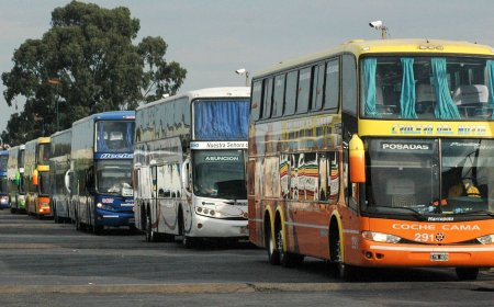 Desregulación en el transporte de media y larga distancia: los cambios