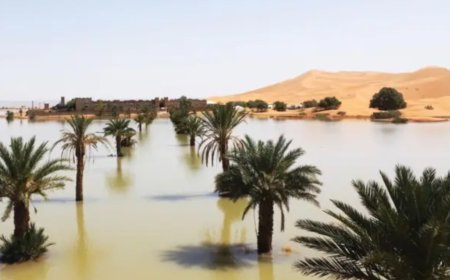 MEDIO AMBIENTE - El desierto del Sahara como nunca se vio: las sorprendentes imágenes tras las tormentas históricas