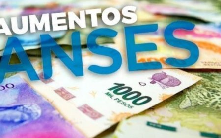 Anses anunció aumentos para noviembre
