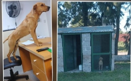 “Gringo” preso en la cárcel de Coronda por morder a varias personas