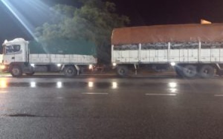 Policía Rural y Ambiental secuestró 30 toneladas de carbón vegetal