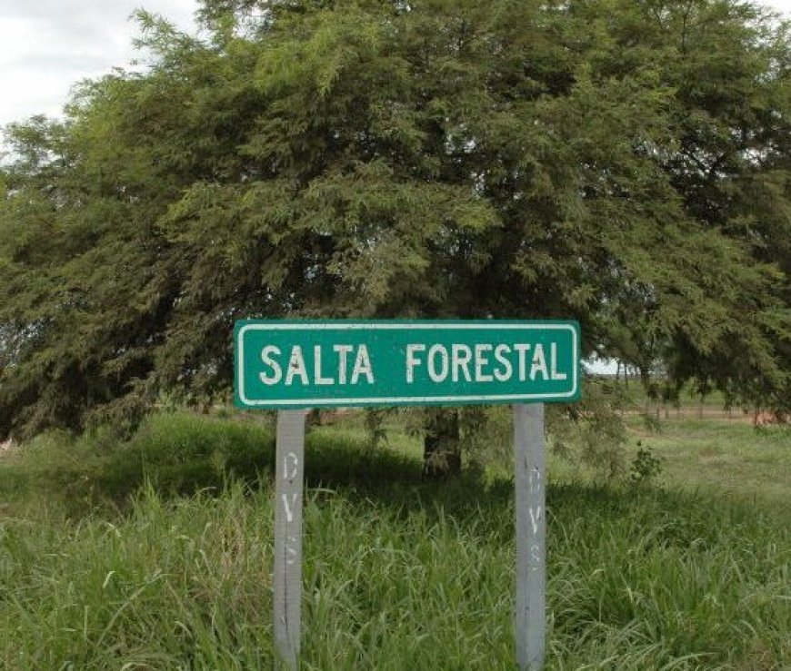 Se profundiza Ia investigación penal en la Causa de Salta Forestal