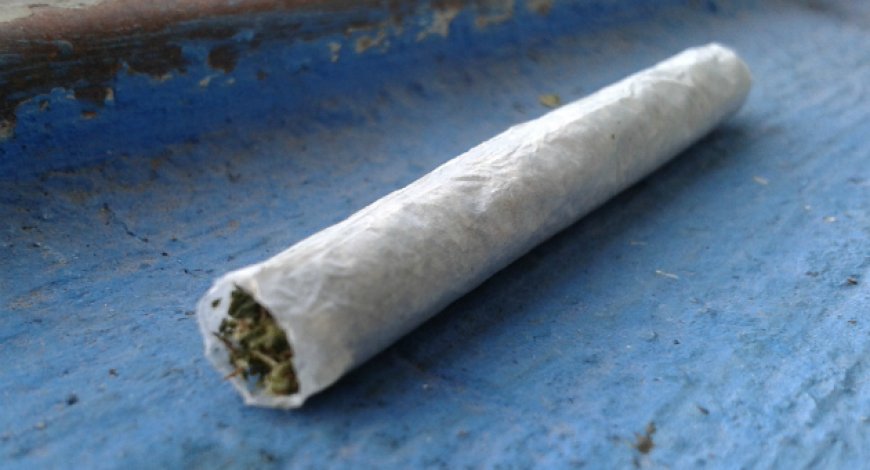 Detenida en allanamiento con más de 100 dosis de estupefacientes