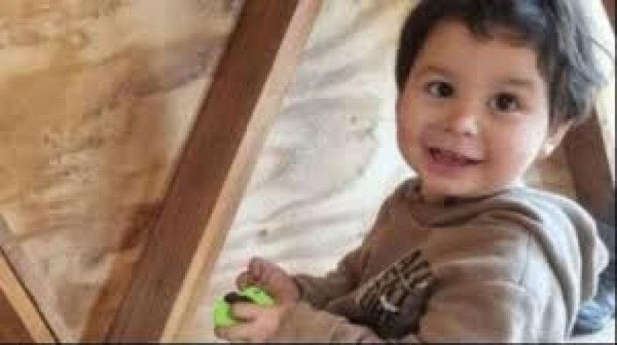 URGENTE - Apareció el nene de 2 años que era buscado en Bariloche: pasó la noche solo y a la intemperie