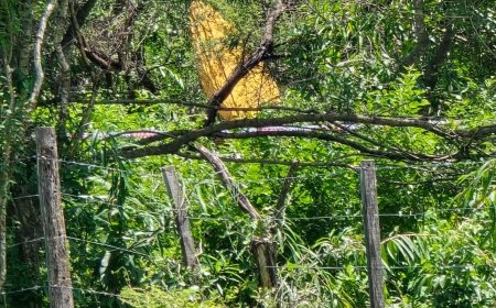 Se investiga el siniestro de una aeronave en la zona norte de la ciudad