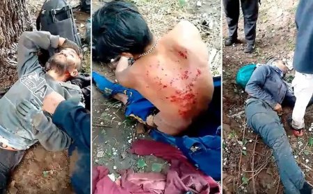 Cayó un rayo en un campo de Malargüe y cinco trabajadores rurales resultaron heridos