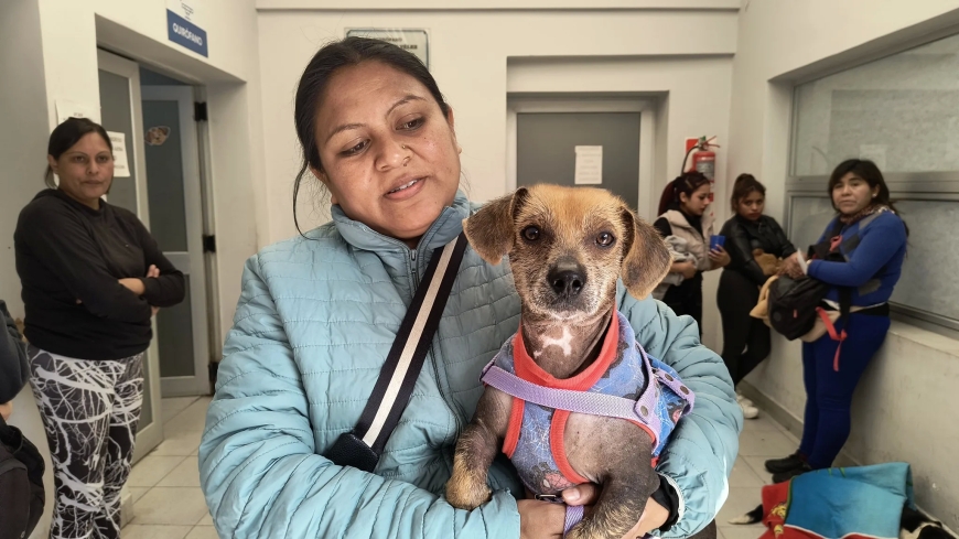 Conocé el cronograma de vacunación antirrábica de la próxima semana