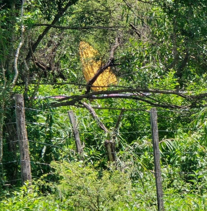 Se investiga el siniestro de una aeronave en la zona norte de la ciudad