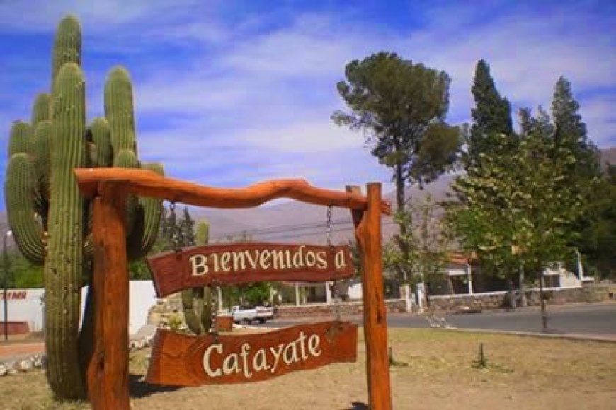 Imputan a cinco personas en Cafayate por una ola de robos