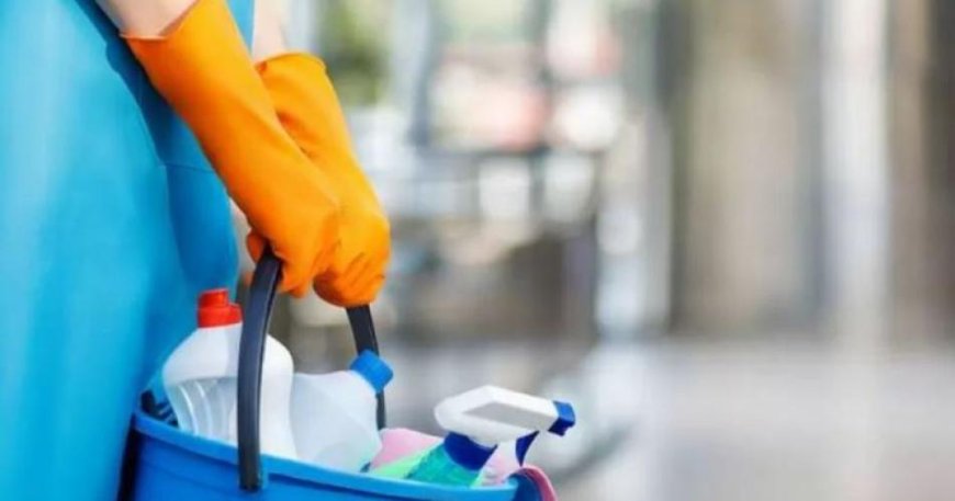 Cuánto cobrarán las empleadas domésticas en febrero de 2025