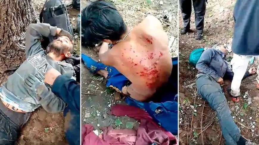 Cayó un rayo en un campo de Malargüe y cinco trabajadores rurales resultaron heridos