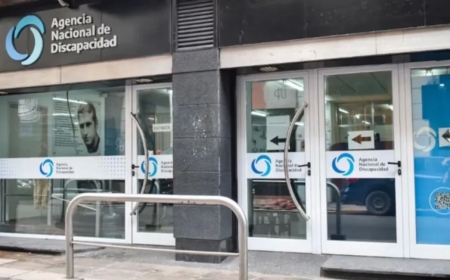 Echaron a la funcionaria de la ANDIS que definió como “idiota”, “imbécil” y “débil mental” a pacientes