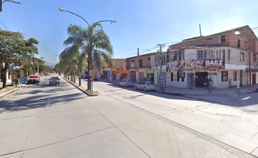 JUJUY - "Viudas negras" al acecho "