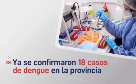 EPIDEMIOLOGÍA - En la provincia ya se confirmaron 18 casos de dengue