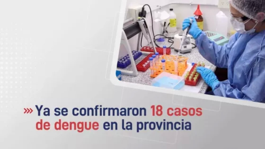 EPIDEMIOLOGÍA - En la provincia ya se confirmaron 18 casos de dengue