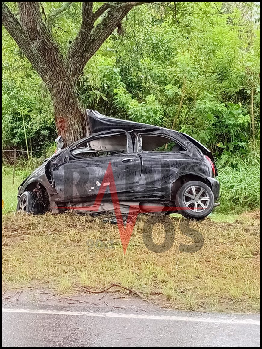 TREMENDO SINIESTRO VIAL CON VICTIMA FATAL CAMINO A LESSER