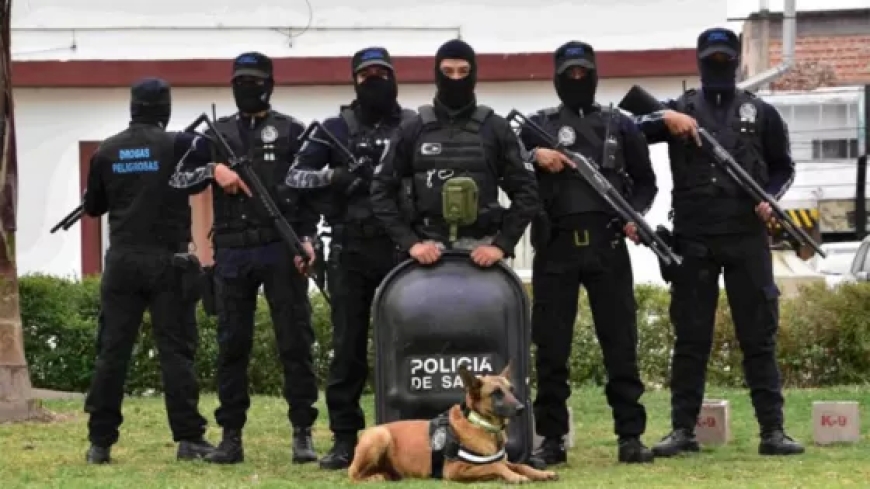 LUCHA CONTRA EL NARCOTRÁFICO  - Más de 290 kilos de droga fueron decomisados por la Policía de Salta