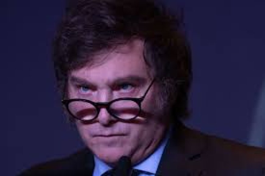 MILEI  - No hay límites para el odio , el presidente arremetió contra un niño autista