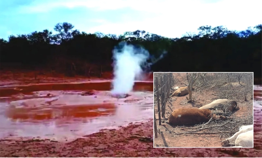 Pozo de Lomas de Olmedo: el comité de crisis aborda una estrategia multidisciplinaria de acción