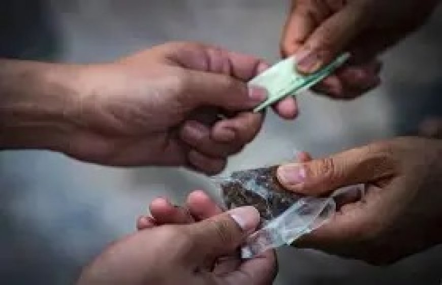 CAYÓ “LA DEALER DE SANTA TERESITA”: UNA DENUNCIA DE UN PADRE PERMITIÓ DESARTICULAR UN PUNTO DE VENTA DE DROGAS EN GÜEMES