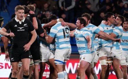 Los Pumas hicieron historia en el Rugby Championship y derrotaron por primera vez a los All Blacks en Argentina