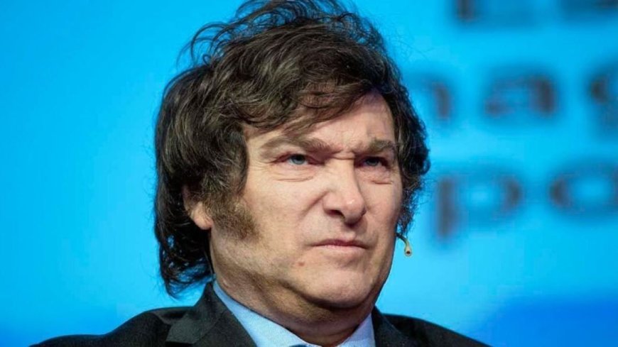 Un juez federal declaró inconstitucional el veto de Milei a la Ley de Emergencia en Discapacidad