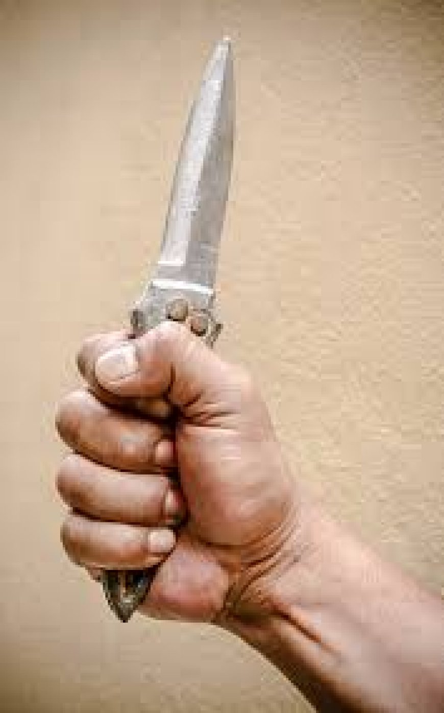 Dos detenidos por amenazar a una vecina con armas