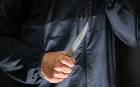 Mató a su hermano de 26 puñaladas tras una discusión por la herencia familiar