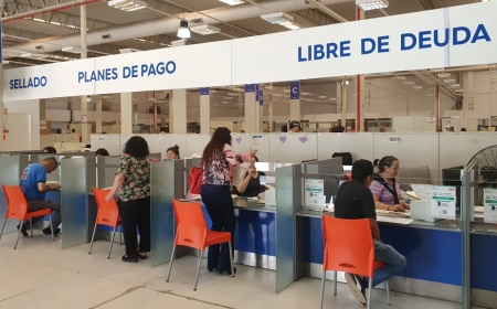 Así funcionarán los servicios municipales durante Nochebuena y Navidad