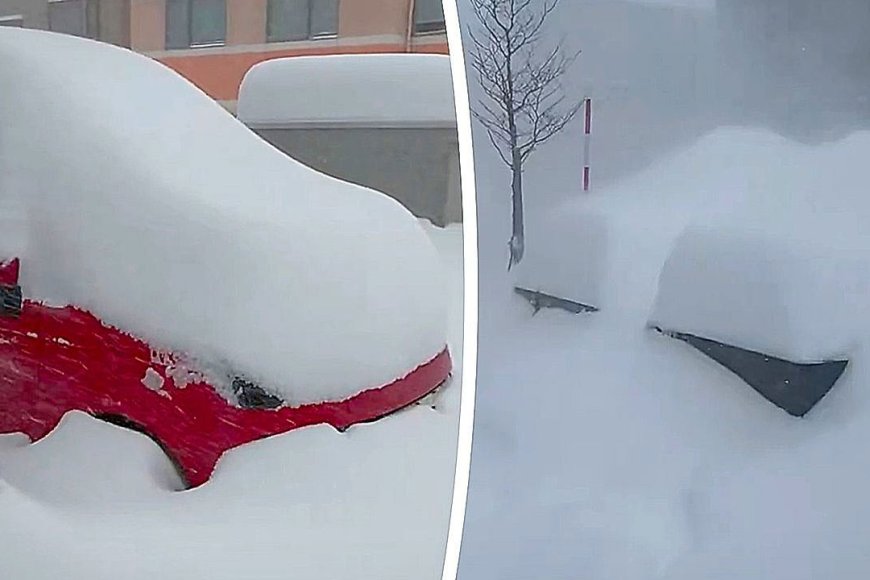 Ola de frío histórica en Japón causó decenas de muertos y cientos de heridos