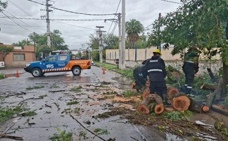 MUNICIPALIDAD -  Operativos para minimizar efectos de la lluvia
