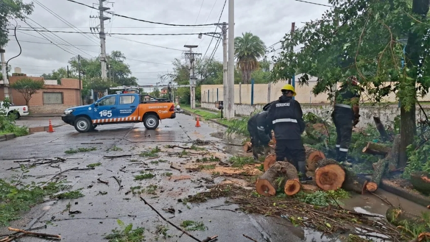 MUNICIPALIDAD -  Operativos para minimizar efectos de la lluvia