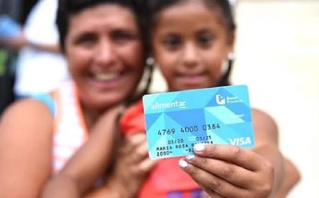 El Gobierno aumentó un 38% la Prestación Alimentar