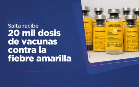 Salta recibe 20 mil dosis de vacunas contra la fiebre amarilla tras brote detectado en Bolivia