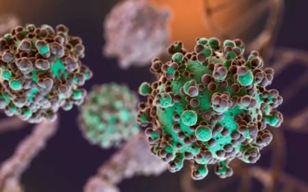 Hantavirus: se identificaron 3 nuevos casos en Argentina